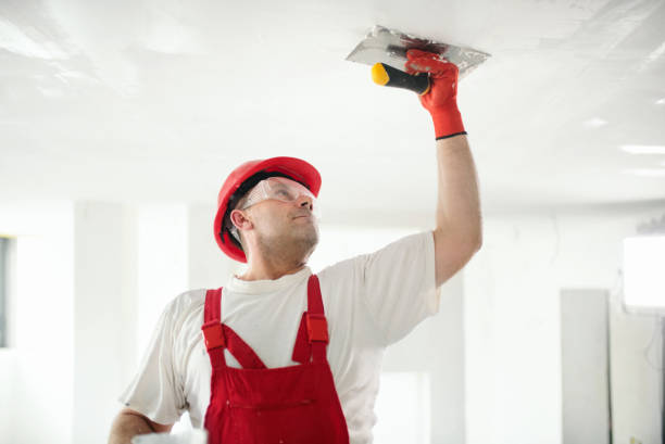 Best Trim and Molding Painting  in Newton, IL